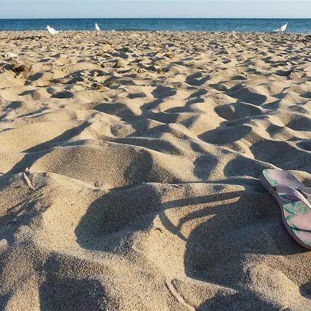 Lejlighed L'annerie - Piscine La Couarde-sur-Mer